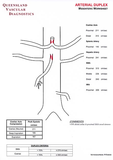 Mesenteric Artery Duplex - Queensland Vascular Diognostics